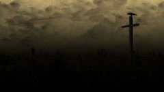 Dark cross raven horror creepy country field