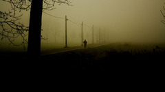 Dark fog tinted roads