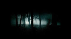 Dark forests