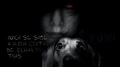 Dark freak Dogs red eyes message Photo manipulation