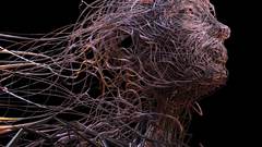 Dark high meats optic Resolution