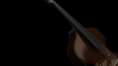 Dark The double Sexy basses doublebass