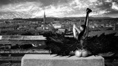 Dark wings angel bionic