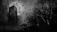 Dark You re wellcome