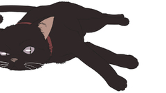 Darker than black white