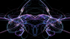 Darkfish More Aquarium and