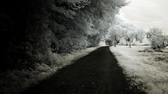 Darklands monochrome nature landscape