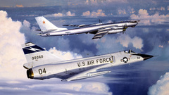 Dart Bear bomber Animals