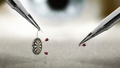 darts photography eyes humor numbers