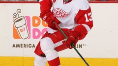 Datsyuk high