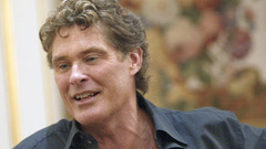 David hasselhoff Celebrity
