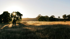 Dawn at swifts creek