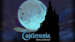 Dawn sorrow castlevania