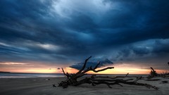 Dawn Wood Beaches dawning