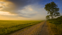 Day com waking youtube lesek pardowski