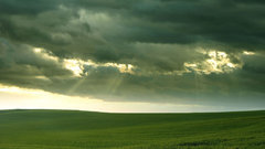 Day guys! sunny just june rainy lurked