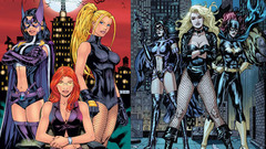 Dc comics Black Canary