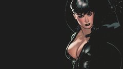 Dc comics Catwoman Adam