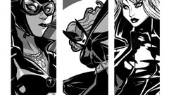 Dc comics Catwoman Batwoman