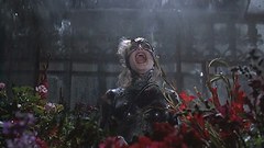 Dc comics Catwoman Michelle