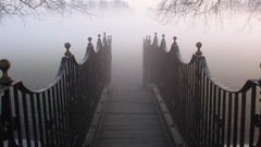 Dead high fucking weegee tonight Resolution