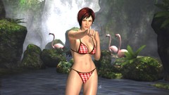 Dead Or Alive Dead or Alive 5 Mila (Dead or Alive)