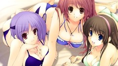 Dead Or Alive kasumi