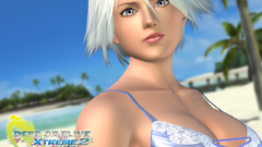 Dead Or Alive volleyball