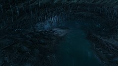Dear esther