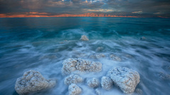 Dec these captha are