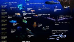 Deep Sea infographics