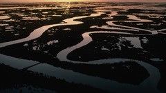 Delta aerial mississippi