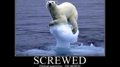 Demotivational Polar Bears