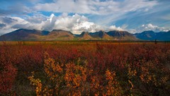 Denali National Park