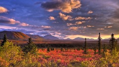 Denali National Park