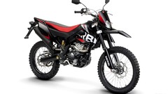 Derbi motorbikes Derbi Senda