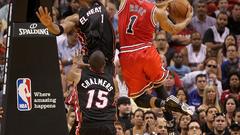 Derrick rose chicago bulls