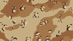 Deserts camouflage