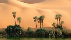Deserts oasis