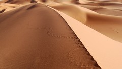 Deserts Sahara