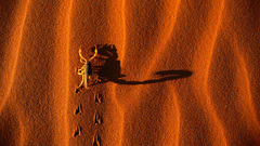 Deserts shadows scorpions