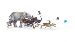 Design advertisement Faster Twitter Smart chart artwork