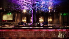 Design neon lighting lounge bar architecture night club