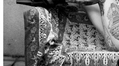 Design woman graphics tattoos Inked Girls