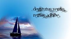 Desitutus and The Other