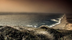 Despair android motorola