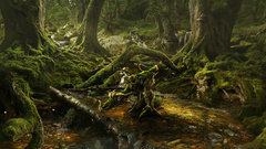 Dgallery lrg moss amber