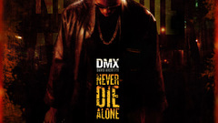 Die Battery 800 dmx alone acid never