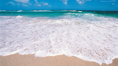 Different colors of tropical