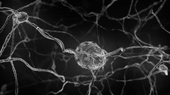 Digital art microscopic nerves